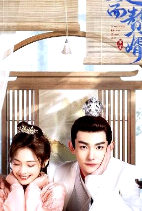 双面赘婿第二季
