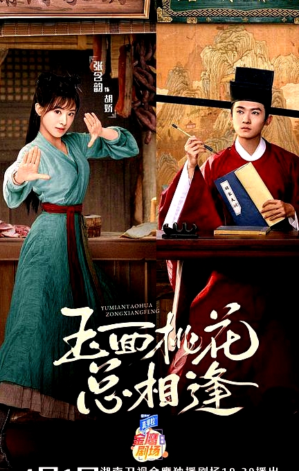 玉面桃花总相逢卫视版